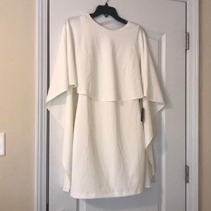 Lulus short length backless dress! Never worn NWT